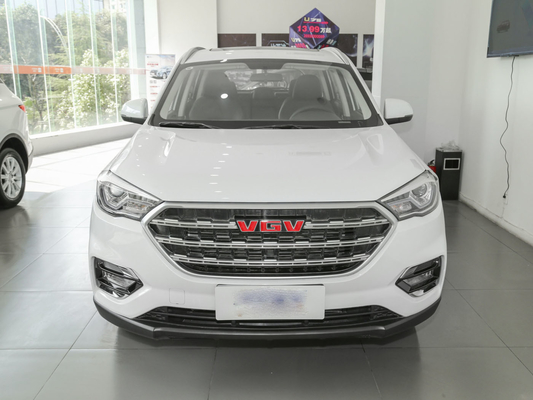 El coche blanco SINOTRUK VGV del depósito de gasolina 55L 7 Seater utilizó SUV manual 175 kilómetros por hora