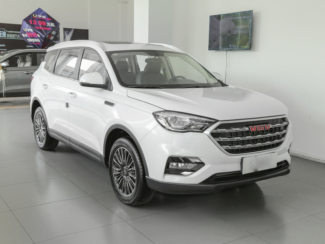 El coche blanco SINOTRUK VGV del depósito de gasolina 55L 7 Seater utilizó SUV manual 175 kilómetros por hora